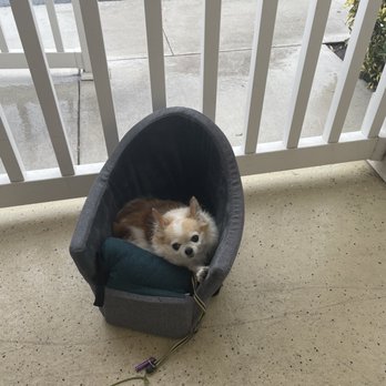 Portside Pub & Grille - Pampered pup - American Near Me - Sebastian, Florida Portside Pub & Grille - Pampered pup - American Near Me - Sebastian, Florida