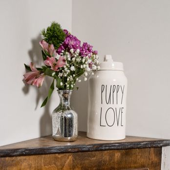 Denver Spine Chiropractic - Puppy treat jar - Chiropractors Near Me - Littleton, Colorado Denver Spine Chiropractic - Puppy treat jar - Chiropractors Near Me - Littleton, Colorado