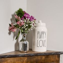 Denver Spine Chiropractic - Puppy treat jar