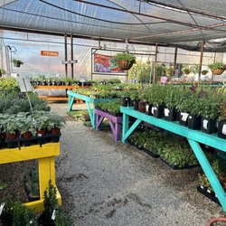 Verde River Growers