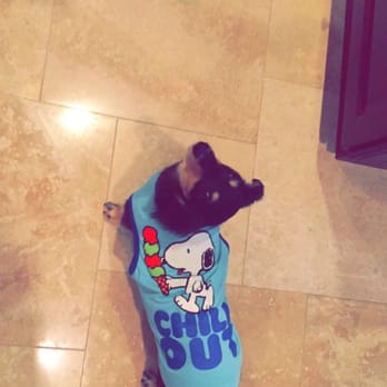 PetSmart - Pet Stores Near Me - Brea, California