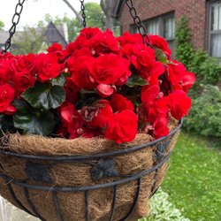 Johansen Farms Nursery & Garden Center
