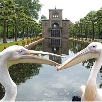 Wilhelma - Zoos Near Me - Stuttgart, BW