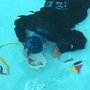 Photo of Navarre Pool Leak Detection