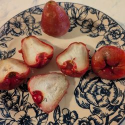 Palli Supermarket - The inside of wax apple/love apple