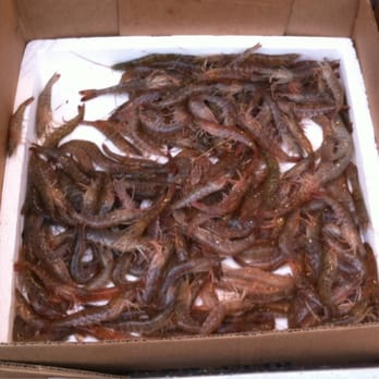 Brooklyn Chinatown - Live shrimp jumpin in the box - Coffee & Tea Near Me - Sunset Park, New York Brooklyn Chinatown - Live shrimp jumpin in the box - Coffee & Tea Near Me - Sunset Park, New York