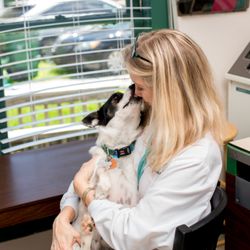 Cedar Bay Veterinary Clinic