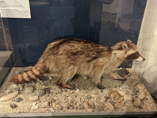 Santa Cruz Museum of Natural History by null