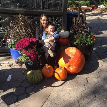 Queens Zoo - Halloween-inspired photo areas at the entrance:) - Zoos Near Me - Corona, New York Queens Zoo - Halloween-inspired photo areas at the entrance:) - Zoos Near Me - Corona, New York