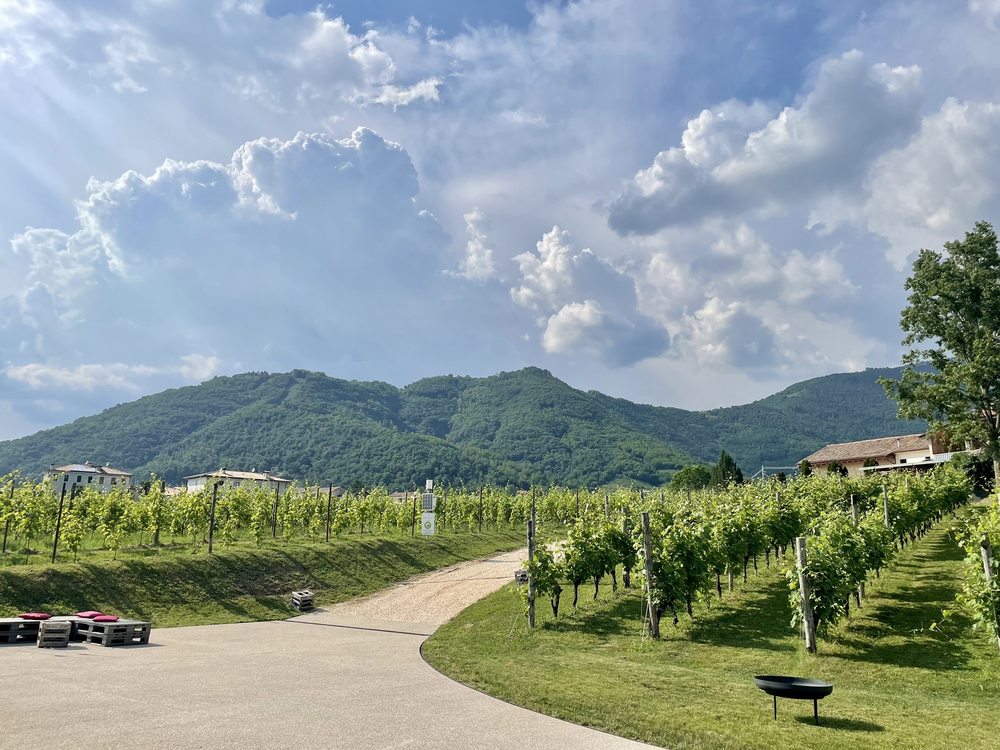 Cantina Fasol e Menin