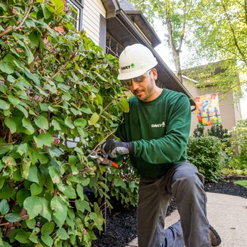 The Davey Tree Expert Company - Tree Services Near Me - Lawrence, Pennsylvania The Davey Tree Expert Company - Tree Services Near Me - Lawrence, Pennsylvania