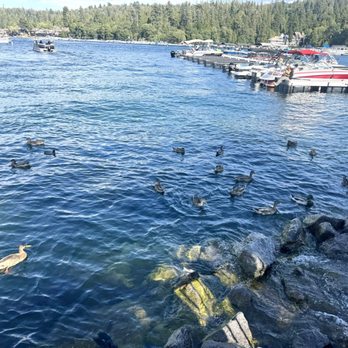 Lake Arrowhead - Local Flavor Near Me Lake Arrowhead - Local Flavor Near Me