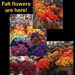 Hammer's Dept Store - While Spring flowers are reduced 60%, our new Fall ones are here, along with Christmas flowers & decor,