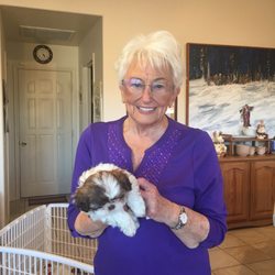 Southgate Golf Club - Bows second puppy of five born