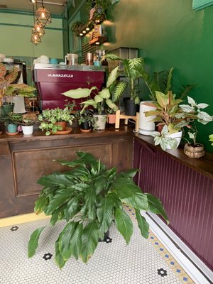 Undergrowth Coffee by null