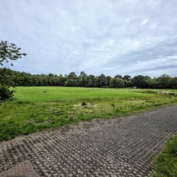 Pollok Country Park - At Pollok Country Park