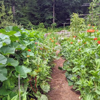 Tyler Arboretum - Summer Camps Near Me - Media, Pennsylvania