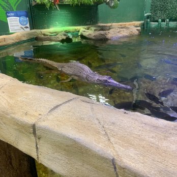 SeaQuest - Stonecrest - Beware - Petting Zoos Near Me - Stonecrest, Georgia