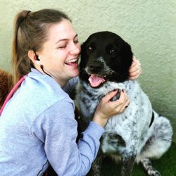 Lush Dog Resort - We love dogs and offer the highest standard of care and fun you'll find!