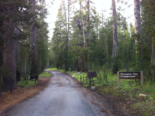 Tioga Rd by null