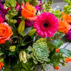 Glorious Flowers - Succulents, Gerbera Daisies, and Roses
