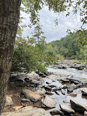 Sweetwater Creek State Park by null