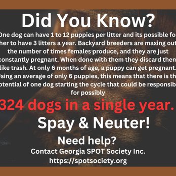 Spot Society - Pet Stores Near Me Spot Society - Pet Stores Near Me