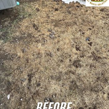 Squat And Scoop - Pet Waste Removal Near Me - Uxbridge, Ontario Squat And Scoop - Pet Waste Removal Near Me - Uxbridge, Ontario