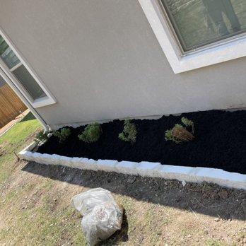 Dennis Trees service - Lasquiping - Landscaping Near Me Dennis Trees service - Lasquiping - Landscaping Near Me