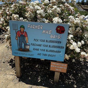 Temecula Berry - Rules - Farms Near Me - Temecula, California