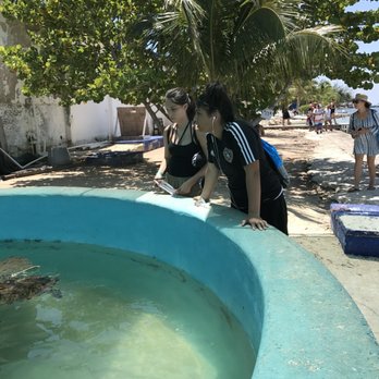 Tortuganja / Turtle Farm - Parks Near Me - Quintana Roo, ROO