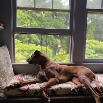 Happy Tails Travel - Travel Services Near Me Happy Tails Travel - Travel Services Near Me