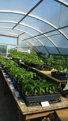 Delano Community Farm Market