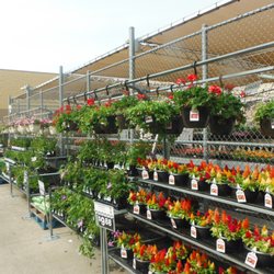 Walmart Garden Center - Walmart Garden Center