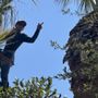 Photo of L n J Tree Xperts