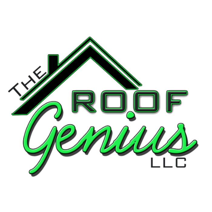 Slide of The Roof Genius