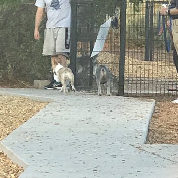 North Domingo Baca Dog Park - Greeting furry friends - Dog Parks Near Me - Albuquerque, New Mexico