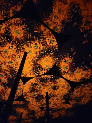 teamLab Borderless: MORI Building DIGITAL ART MUSEUM by null teamLab Borderless: MORI Building DIGITAL ART MUSEUM by null