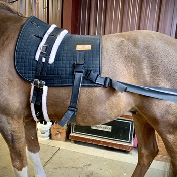 Front Range Equine Performance & Rehabilitation - Equibands® - Veterinarians Near Me - Berthoud, Colorado