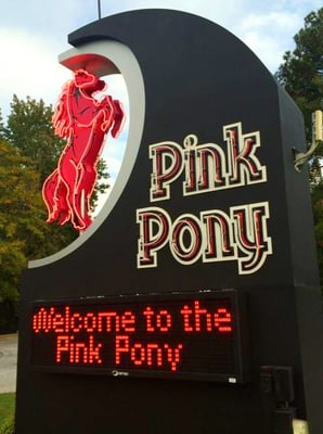 Pink Pony by null