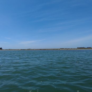 Elkhorn Slough - Calm waters in the slough - Parks Near Me - Moss Landing, California