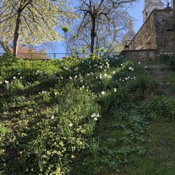 Parc de la Turlure - That's Sacre Couer up the hill on the right