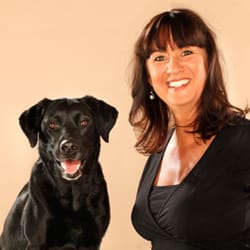 City Hundetrainerin Barbara Nehring - City Hundetrainerin Barbara Nehring