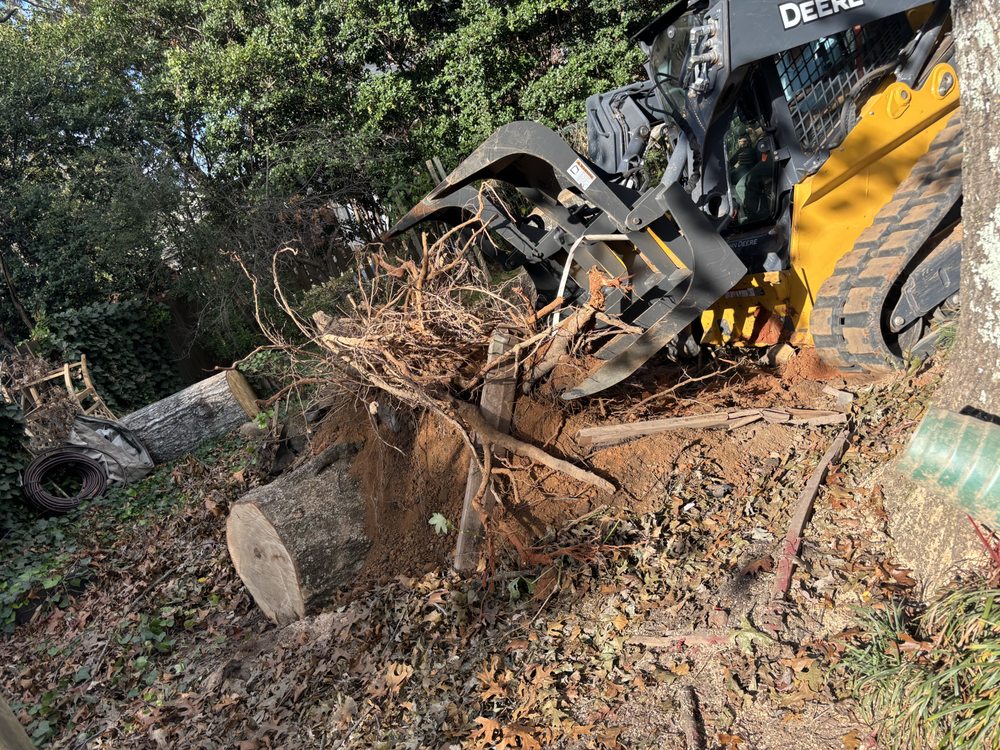 TM Enterprises of Upstate - tree service in Greenville, SC