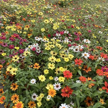 Wapato Park - Parks Near Me - Tacoma, Washington Wapato Park - Parks Near Me - Tacoma, Washington