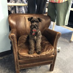 Lucky Brand - Gilbert the official Lucky Brand Dog!
