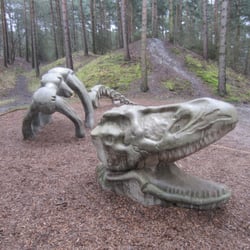 Irchester Country Park - We found dinosaurs!!