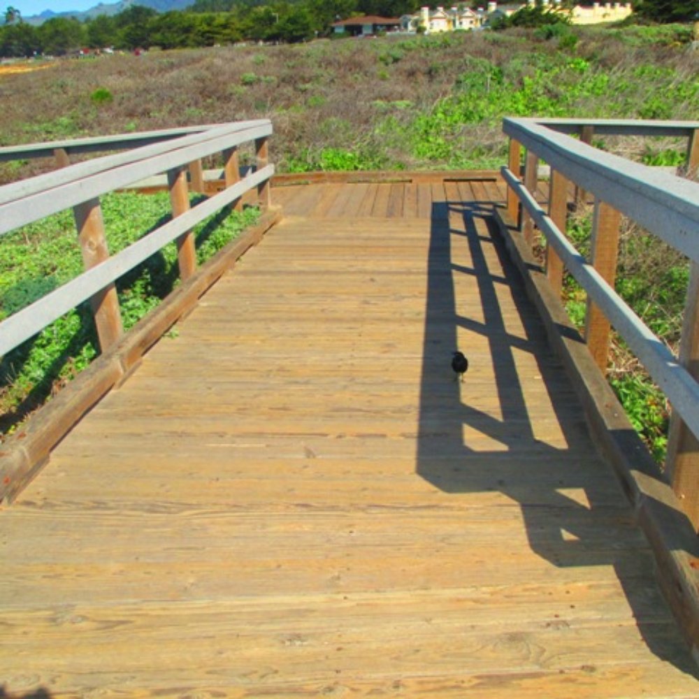 White Water - Hotels Near Me - Cambria, California White Water - Hotels Near Me - Cambria, California