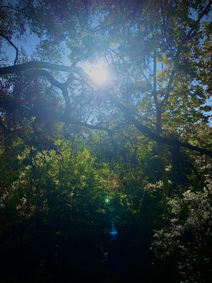 Temescal Gateway Park, Mountains Recreation & Conservation Authority by null