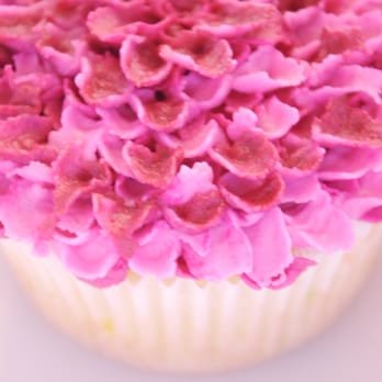 B-Tasty Cupcakes - Cupcakes Near Me B-Tasty Cupcakes - Cupcakes Near Me